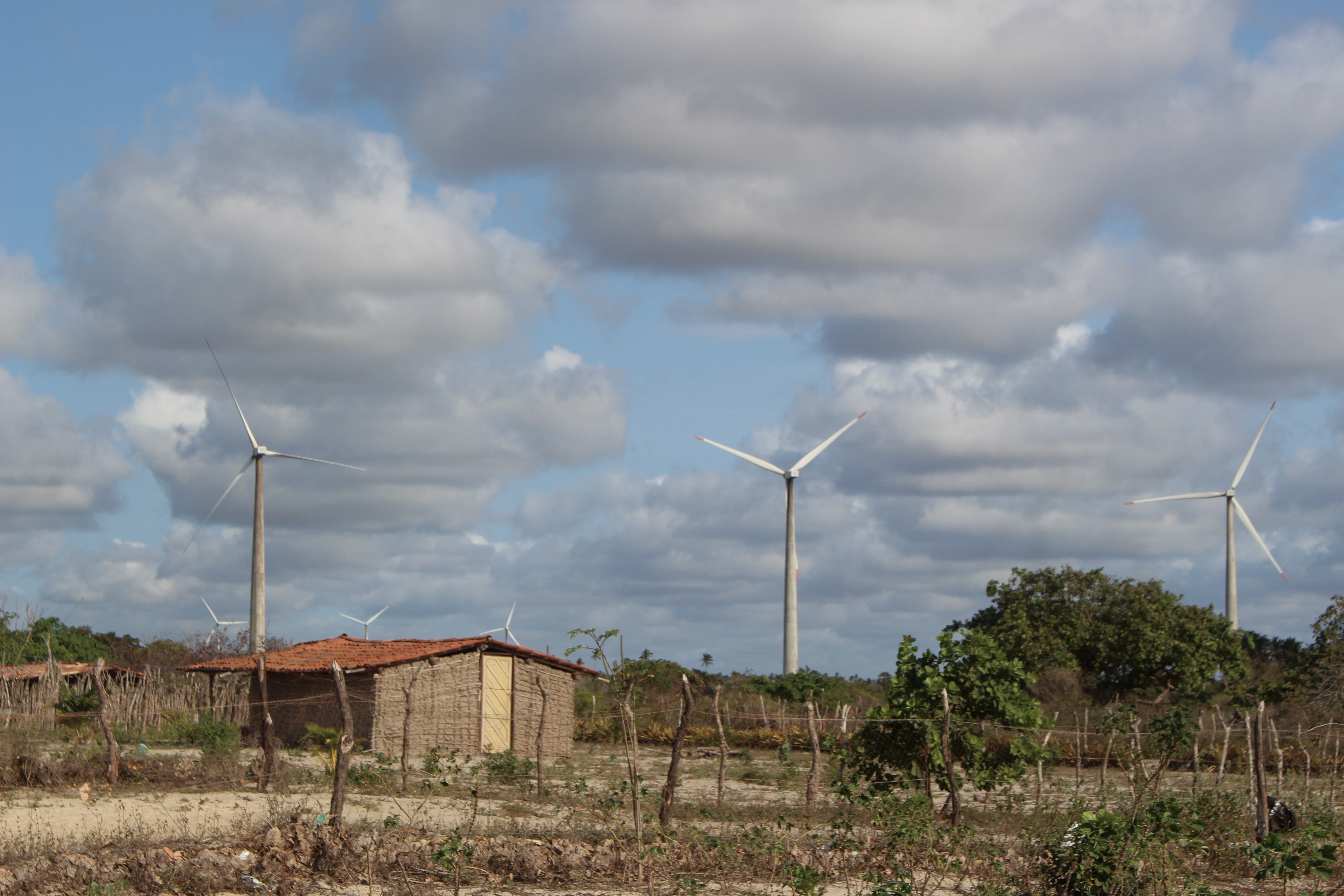 UFPB recebe exposição fotográfica sobre impactos das torres eólicas no Nordeste