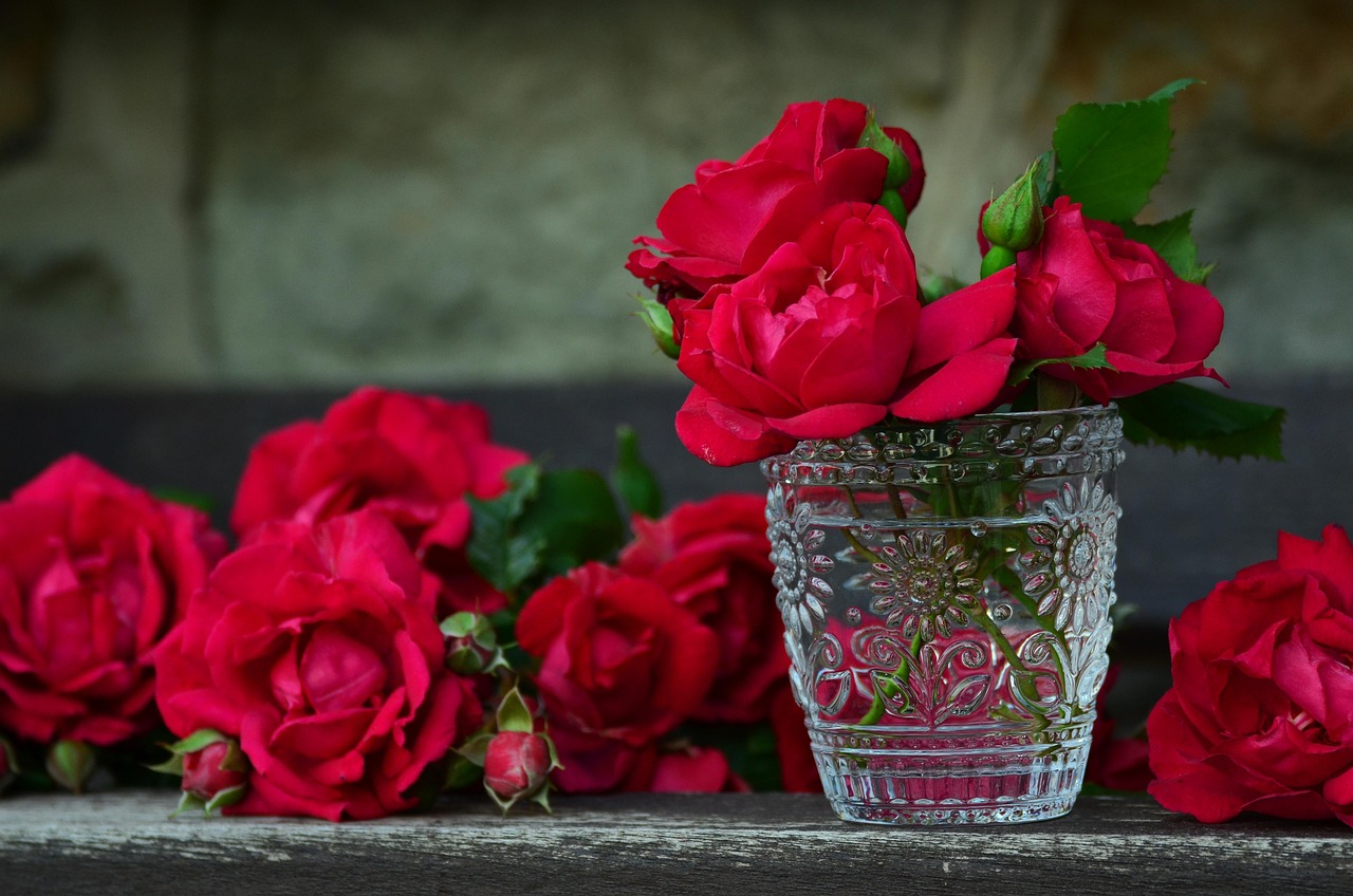 Crônica: Recebendo rosas